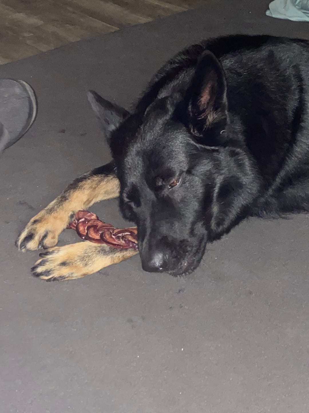 Customer photo review of 6 Inch Beef Jerky Stick