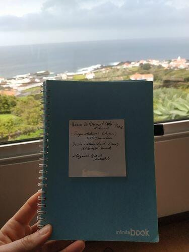 Customer photo review of Reusable Sticky Notes