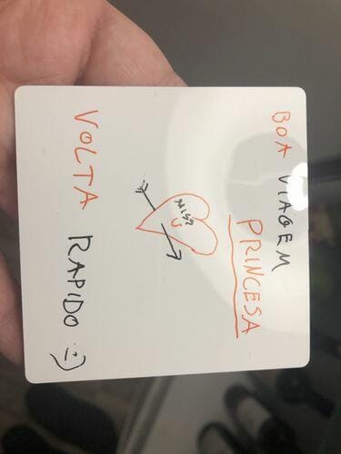 Customer photo review of Reusable Sticky Notes