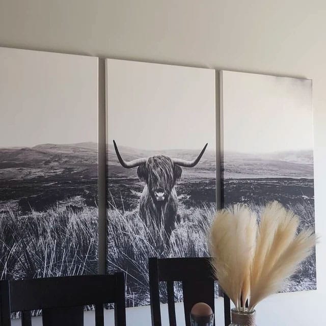 Customer photo review of Highland Cow Canvas Wall Art Farmhouse Decor Cow Black White Print Rustic Wall Decor Animals Painting Scottish Cow Wall Art