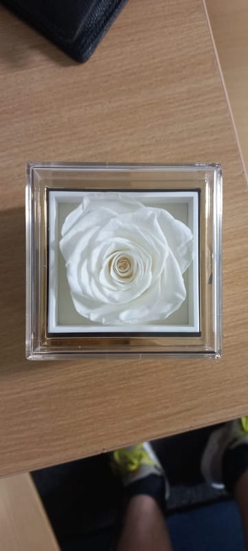 Customer photo review of De Eeuwige Roos Box - Met Gepersonaliseerde Ketting & Echte Roos