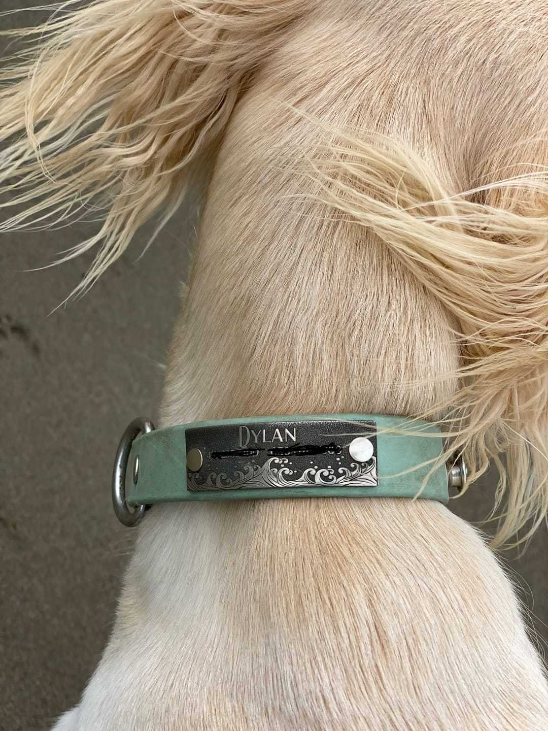 Customer photo review of Designer Rivet-On Tag