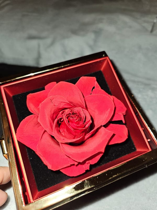 Customer photo review of Eeuwige Roos Box - Met Gepersonaliseerde Ketting & Echte Roos
