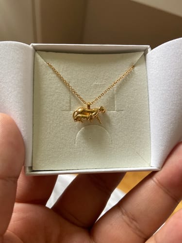 Customer photo review of Lioness Necklace