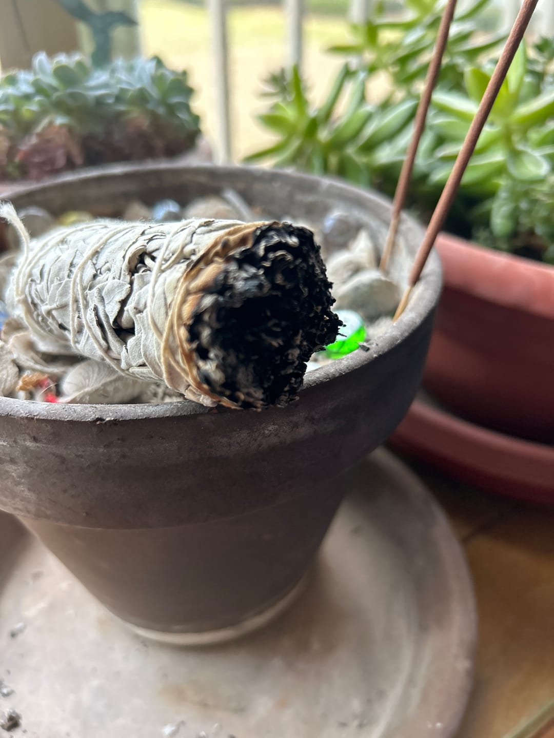 Customer photo review of White Sage Smudge Stick