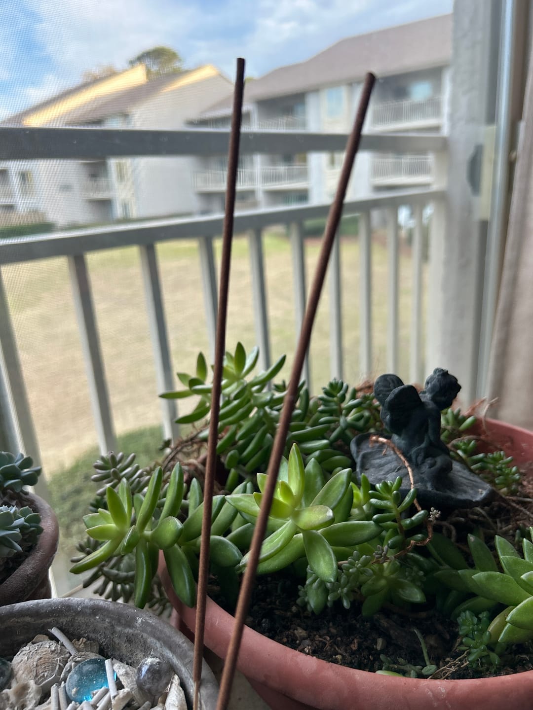 Customer photo review of Fresh Dipped Incense Sticks