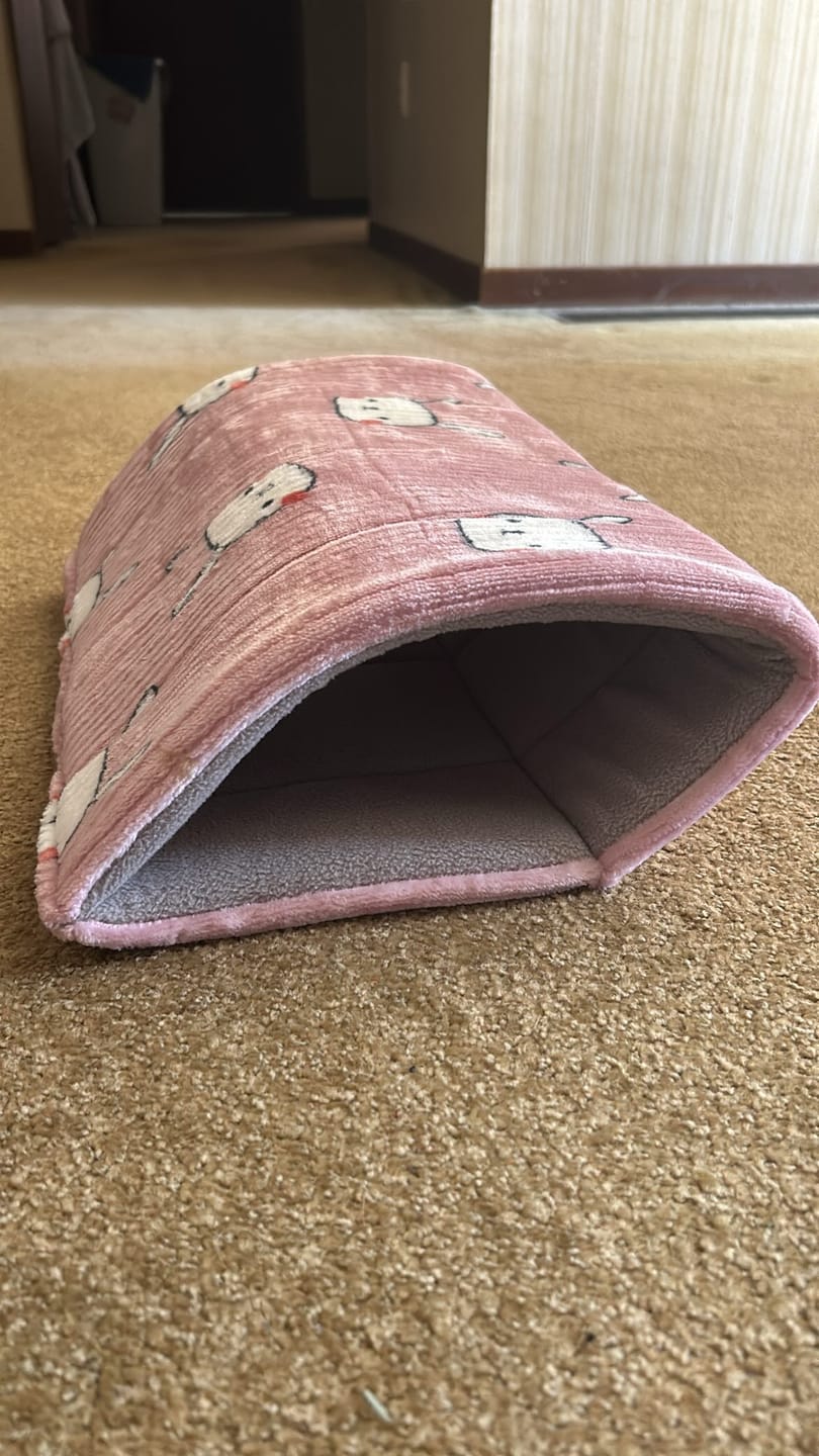Customer photo review of Piggy Play Package