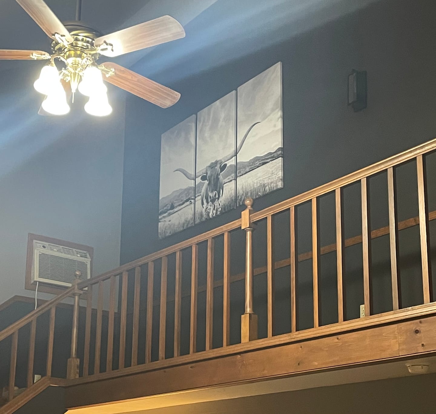 Customer photo review of Big Horn of Cow Wall Art Canvas Print