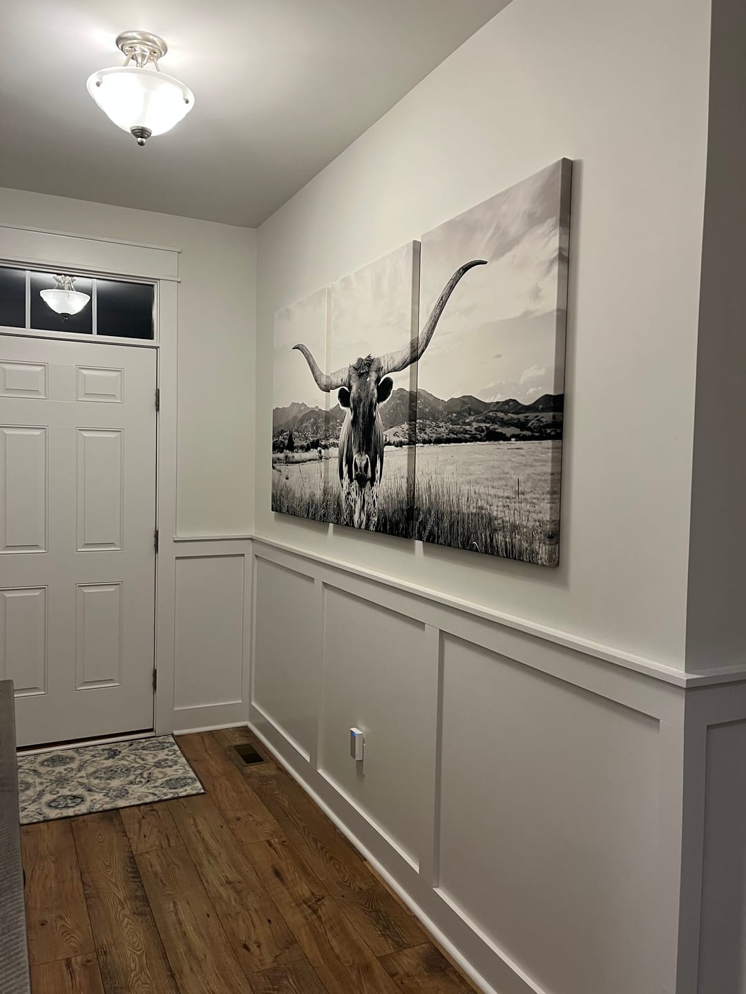 Customer photo review of Big Horn of Cow Wall Art Canvas Print