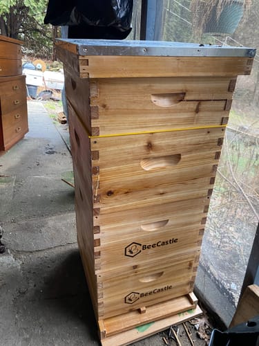 Customer photo review of BeeCastle Logo Free Wax Coated 10 Frame Unassembled Brood Deep Boxes,Premium Cedar Wood Bee Boxes with Pine Wooden Frame and Beeswax Plastic Foundation for Elevated Beekeeping.