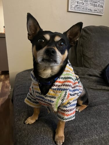 Customer photo review of Playa Poncho - Surprise Color