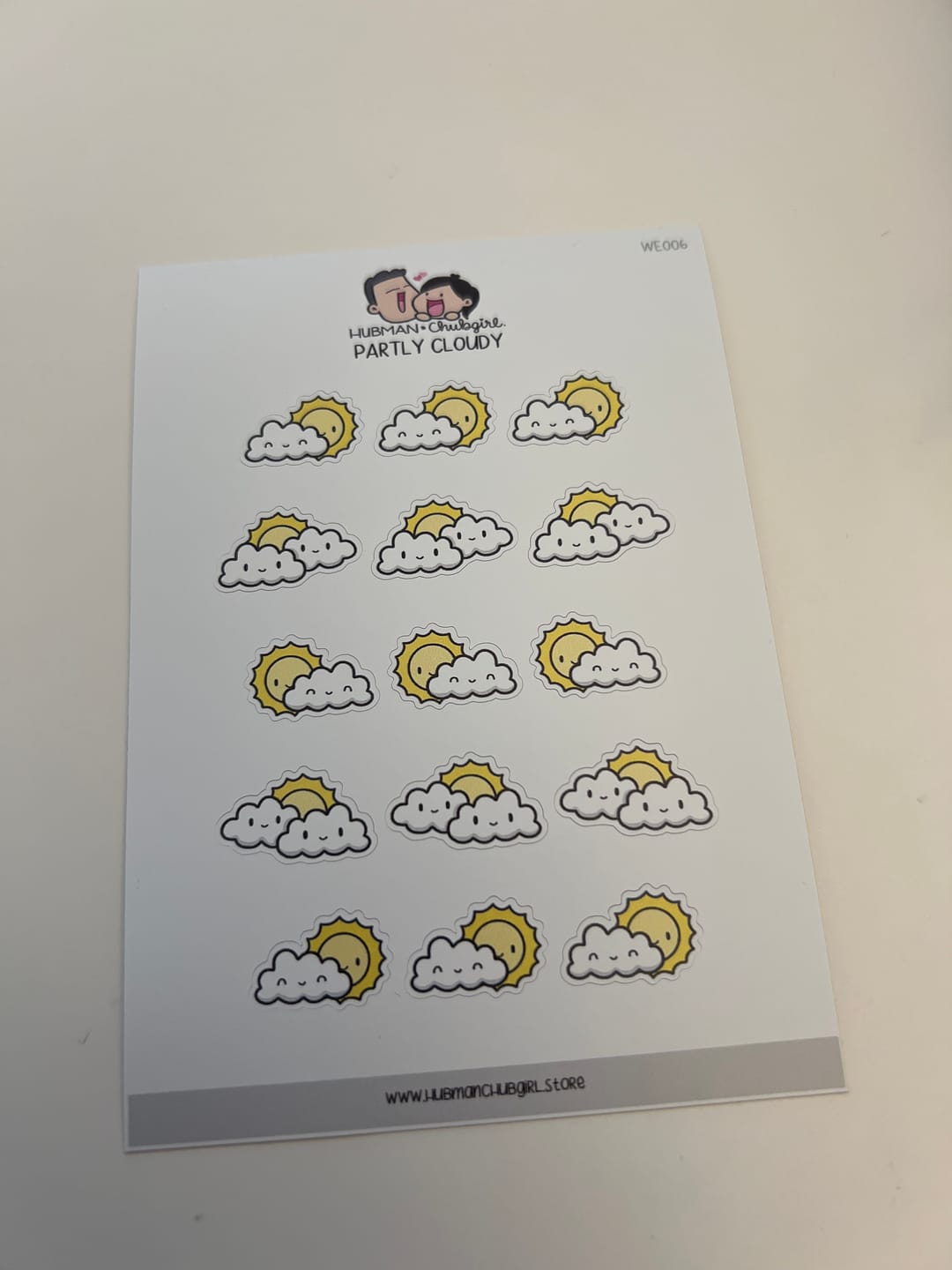 Customer photo review of Partly Cloudy Planner Stickers