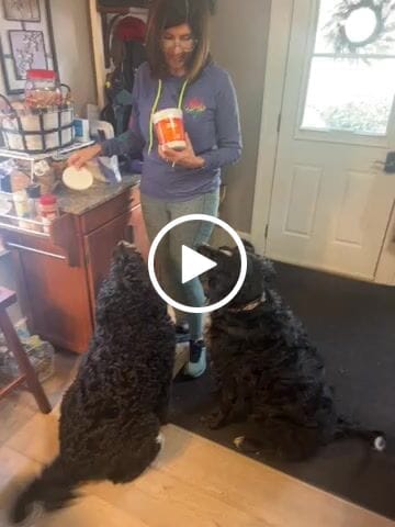 Customer video review of Catalyst Plus Ethyl Ester Omega 3 Chews for Dogs - 60 Count
