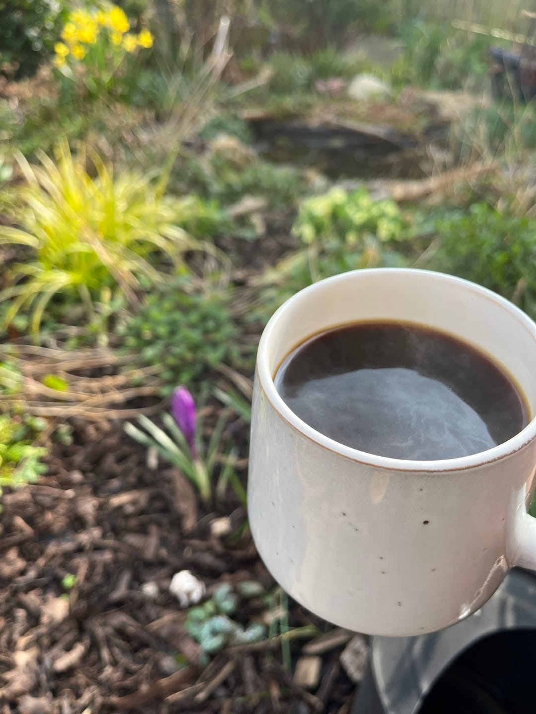 Customer photo review of Dark Roast Blend, Organic Coffee, 1kg - Whole Bean