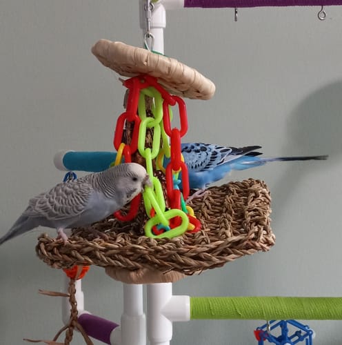 Customer photo review of 2229 Medium Tree House