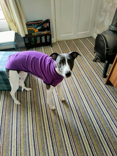 Customer photo review of Fleece Sighthound Base-Layer Coat with Underbelly and Snood