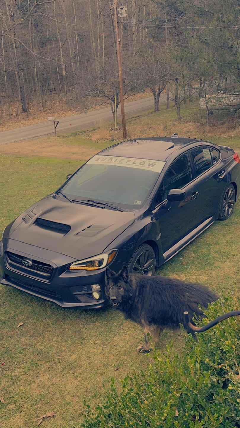Customer photo review of Reverse Cut Windshield Banners