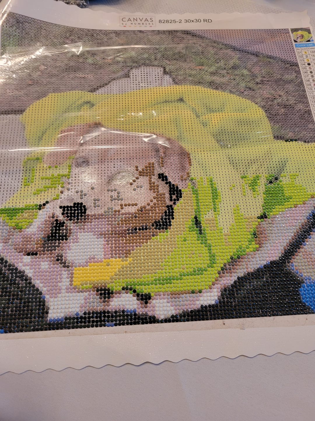Customer photo review of Custom Diamond Painting