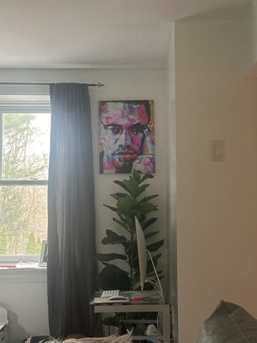 Customer photo review of Malcom X Canvas Set