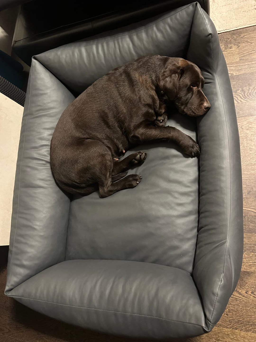 Customer photo review of Best Breeders Adult All breeds 26/15 ar briedi un kartupeļiem