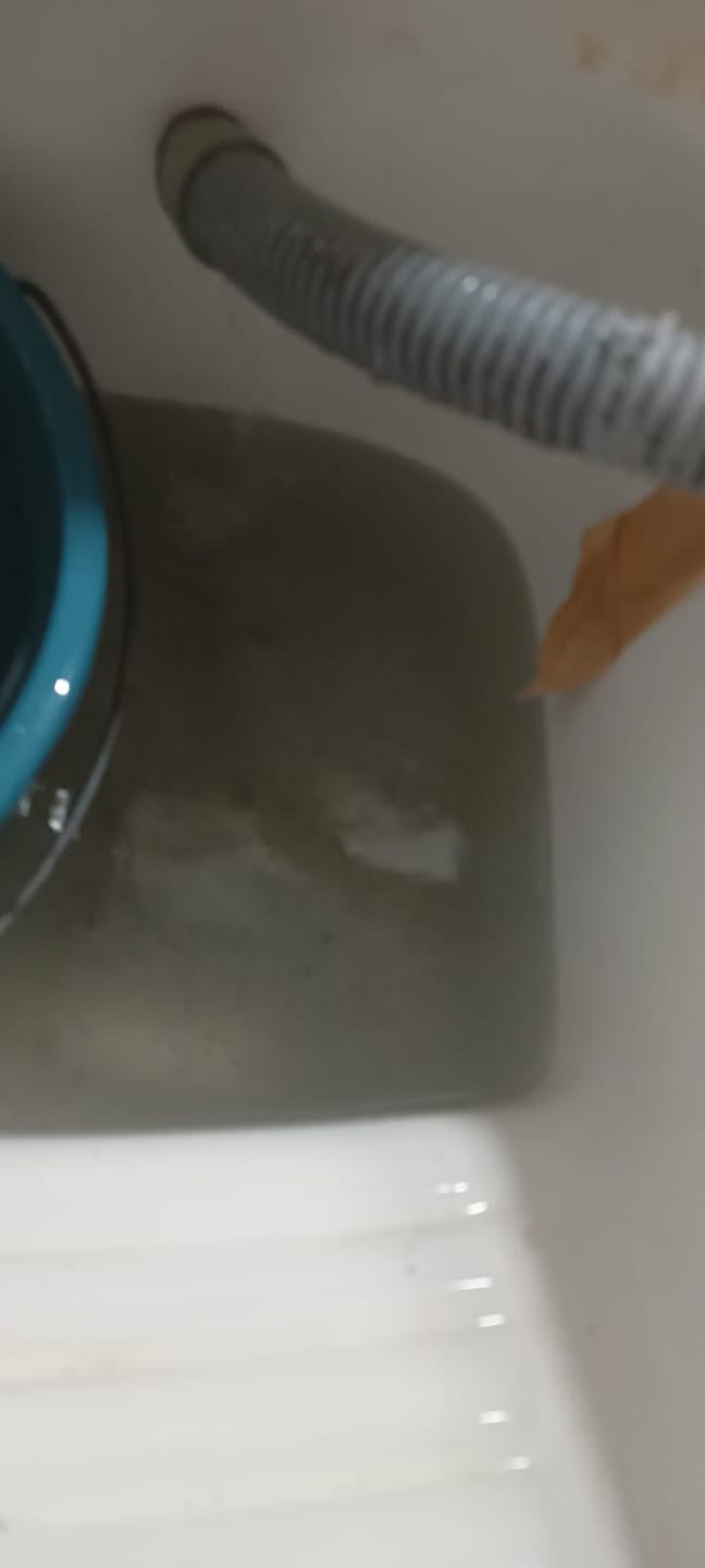 Customer photo review of Pastilhas Sterily