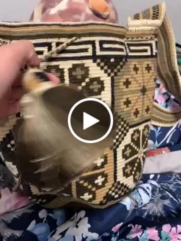 Customer video review of Large Premium Wayuu Mochila Bag - Crossbody Crochet Fall edition