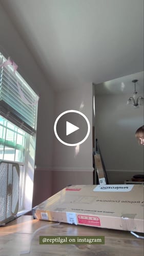 Customer video review of REPMAC-Reptile Enclosures, Tanks & Habitats 85 Gallon 48x24x18_Earthy Green