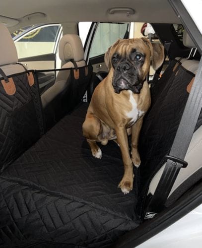 Customer photo review of Housse de Protection de Siège Arrière de Voiture Impénétrable