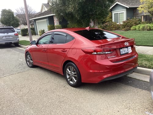 Customer photo review of Rapid Seal+ Spray Sealant