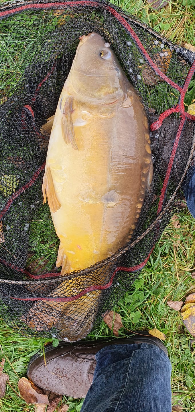 Customer photo review of PREMIUM SELECT (BLACK HALIBUT) - ALLTECH COPPENS