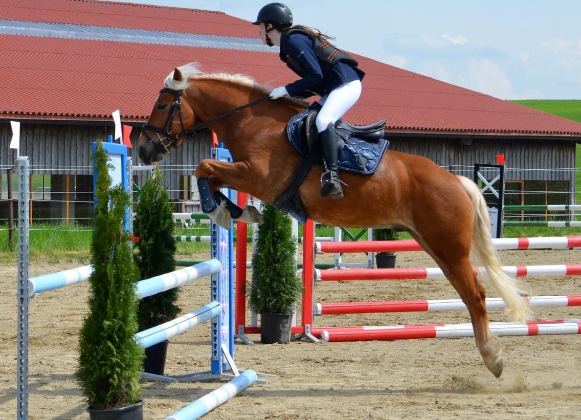 Customer photo review of Kristallkraft Mental Balance