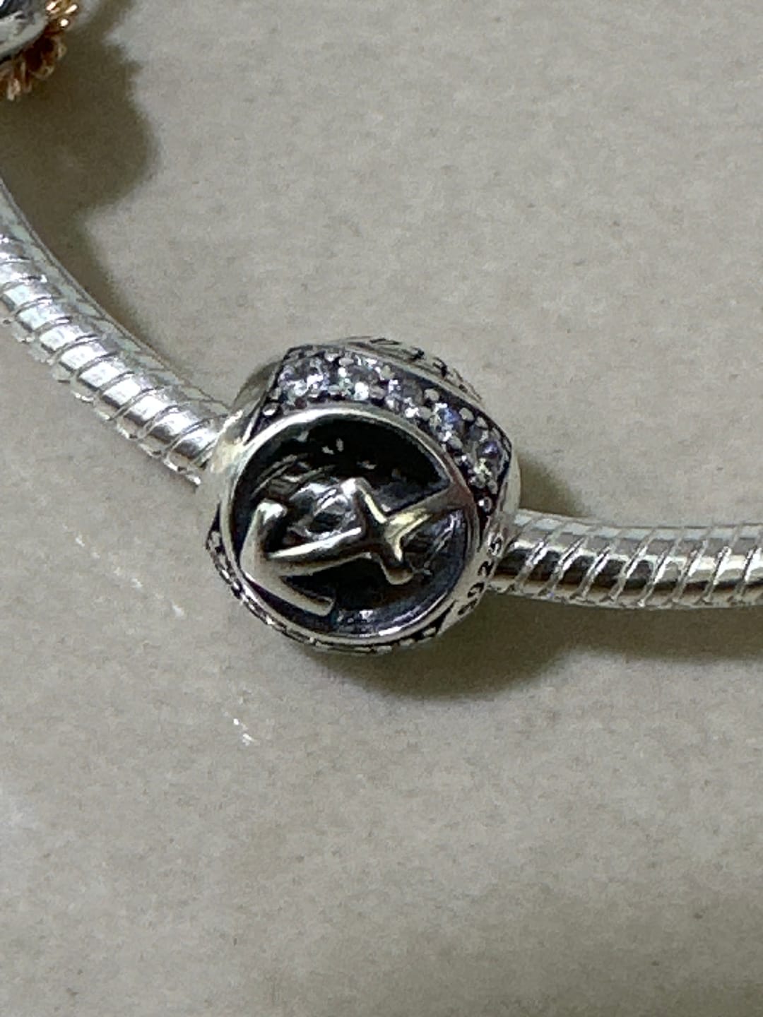 Customer photo review of Charm Horoscopo Diamantado