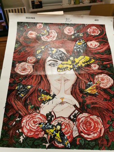 Customer photo review of Malen nach Zahlen - Lady Moth - by Sarah Richter