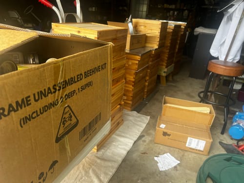 Customer photo review of BeeCastle Hives 10 Frame 3 Layer Wax Coated Cedar Wood Beehive Kit with 1 Super Acrylic Window Bee Box and 2 Deep Viewing Window Honey Bee Boxes, Pine Wooden Frames and Beeswax Plastic Foundation