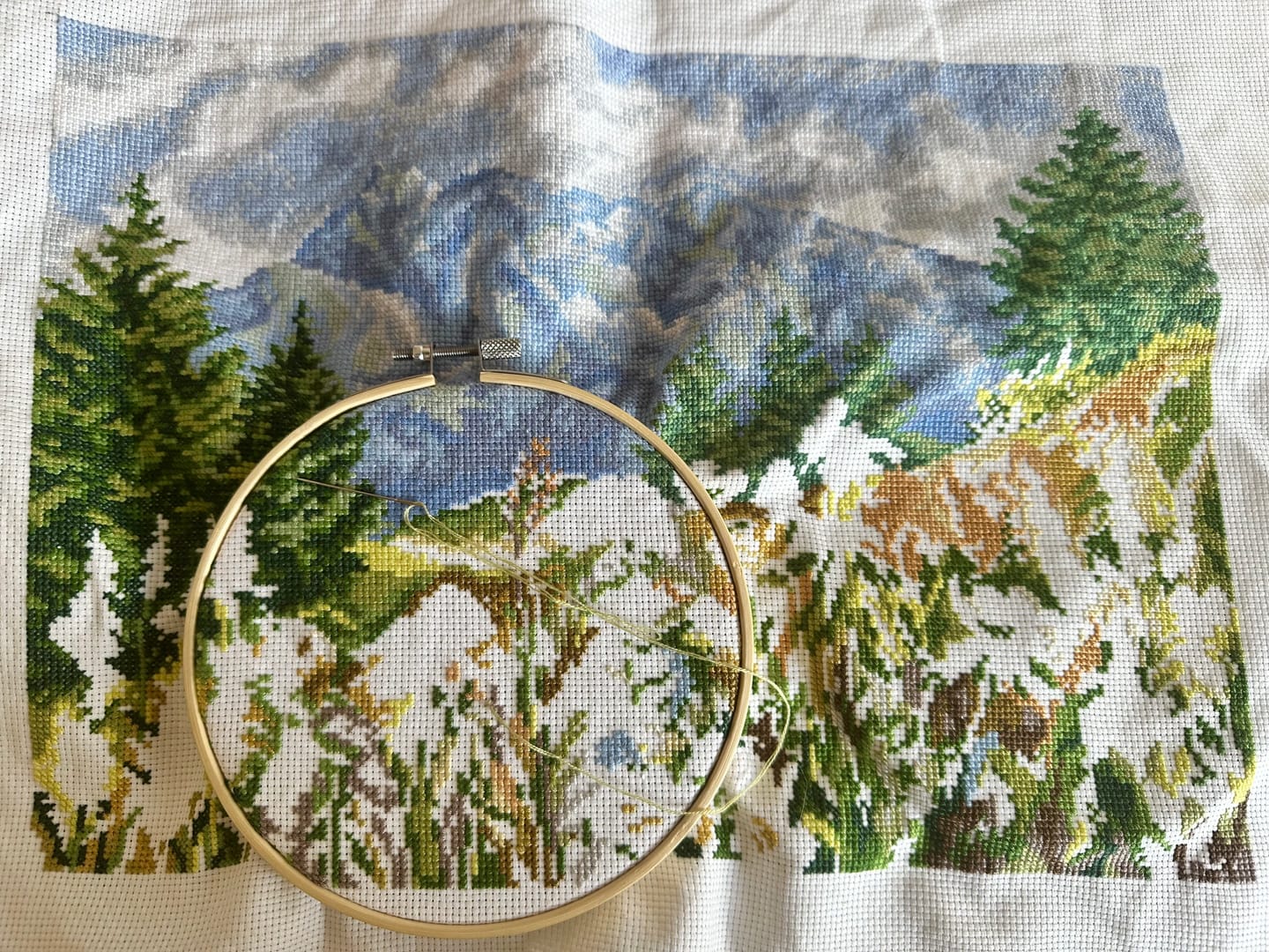 Customer photo review of Distant mountain