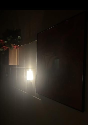 Customer photo review of AURALAMP PRO™