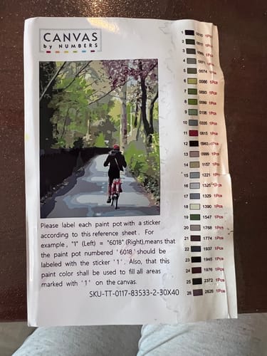 Customer photo review of Custom Paint by Numbers Kit