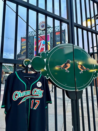 Customer photo review of Custom Black Orange-Kelly Green Authentic Baseball Jersey