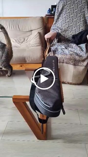 Customer video review of Donner HUSH-I Guitare