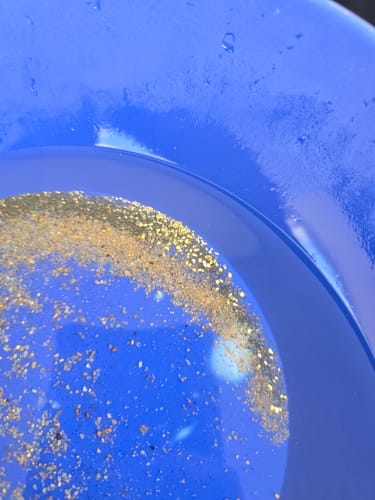 Customer photo review of Clean-Up Buddy Kit