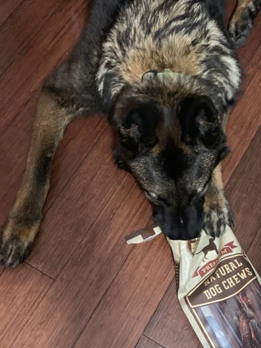 Customer photo review of 10-12 Inch Standard Collagen Wrapped in Bully Stick