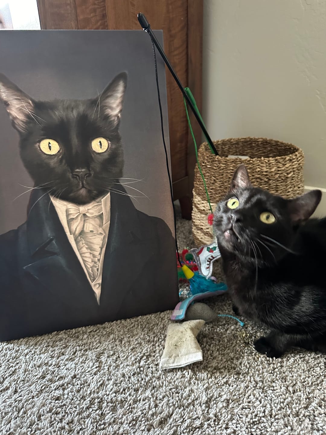 Customer photo review of Le Député