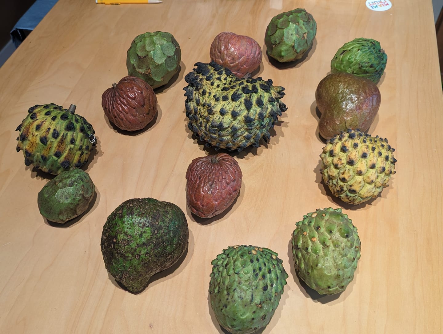 Customer photo review of Annona Variety Box