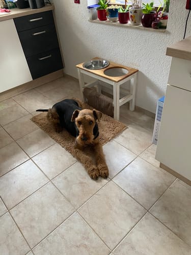 Customer photo review of Premium - CleanyMat
