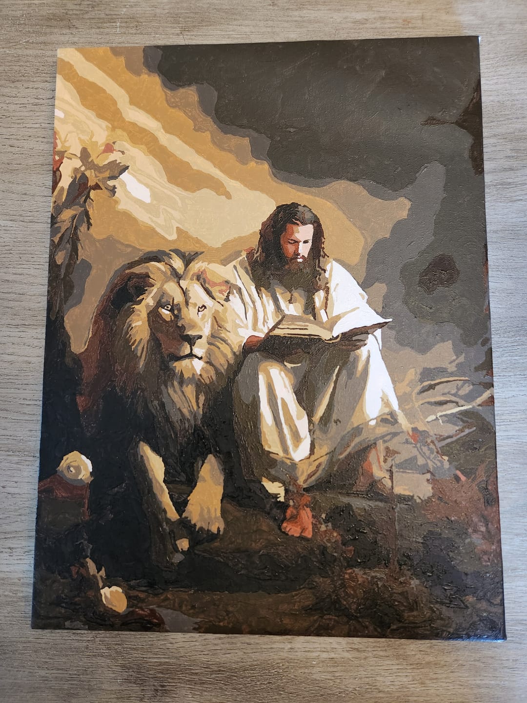 Customer photo review of Custom Paint By Numbers - Upload Any Photo - Framed 30x40cm / 12x16in