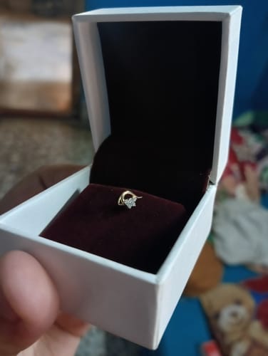Customer photo review of Gold Glittering Treasure Diamond Nose Pin