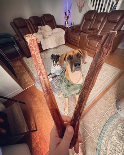 Customer photo review of 10-12 Inch Standard Collagen Wrapped in Bully Stick