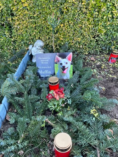 Customer photo review of Hunde Gedenktafel mit Foto & Spruch (UV- &  Wetterfest)