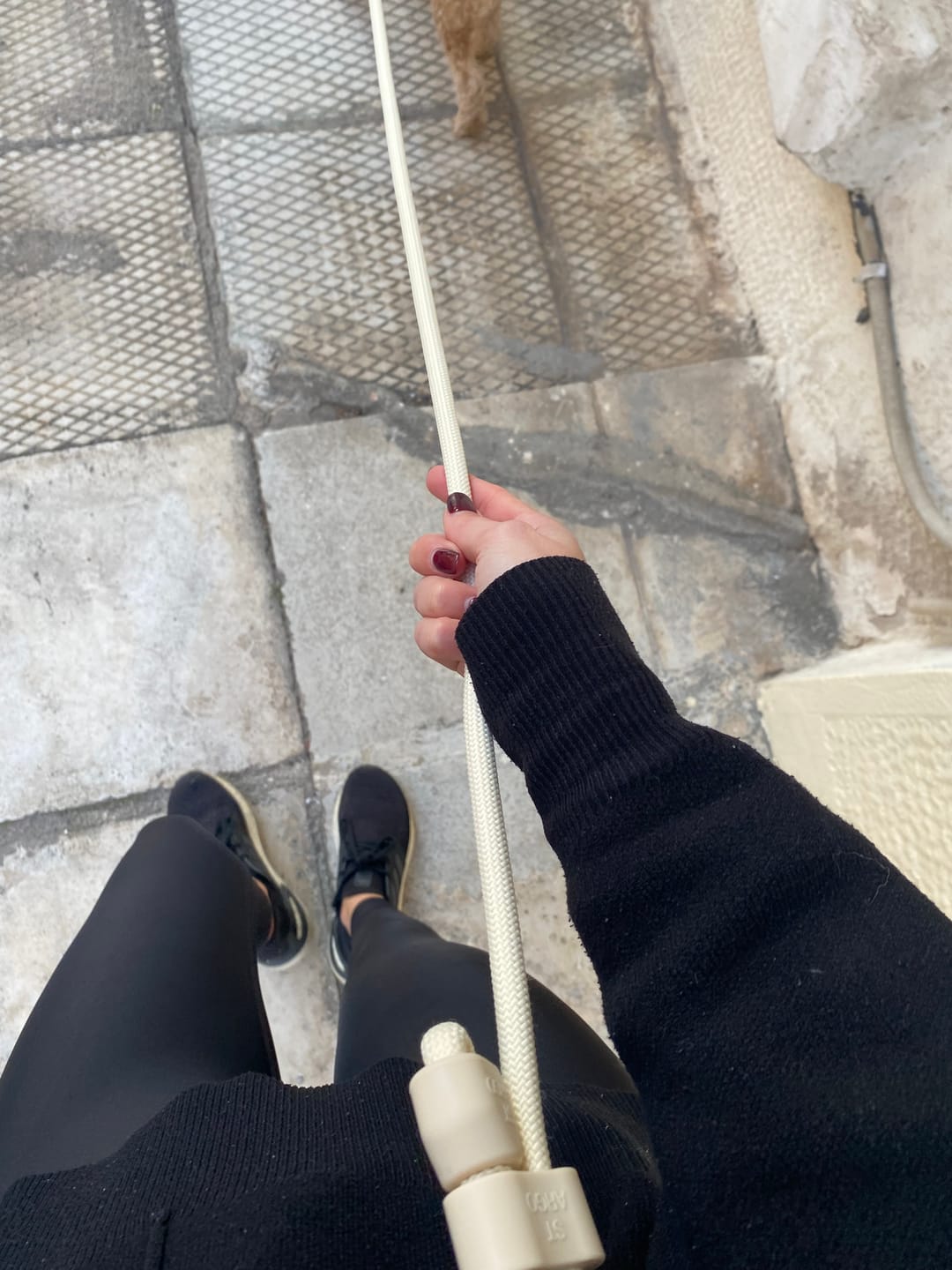 Customer photo review of HANDS-FREE LEAD