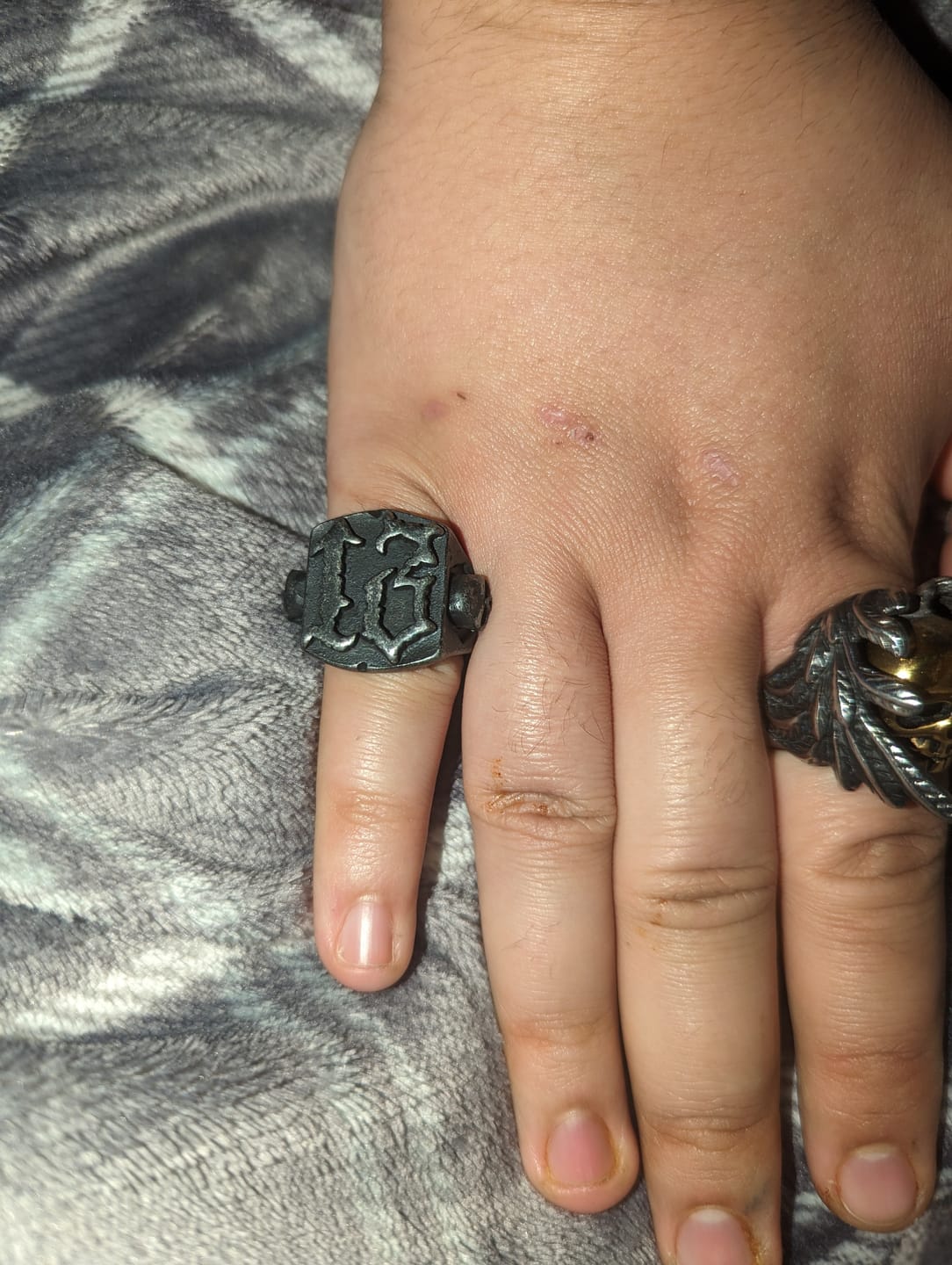 Customer photo review of ANCIENT 13.